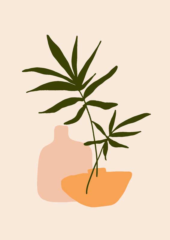 97dy电影院网在线观看